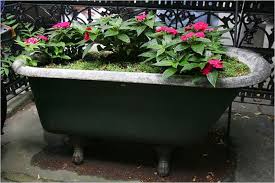 Repurposed and reclaimed bathtub in use as outdoor planter.