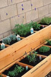 Organized mini garden with several levels and compartments for plants.