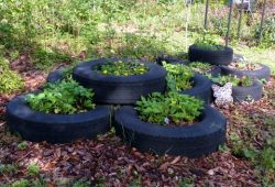 Urban flowerbed made from a stack of old tires.