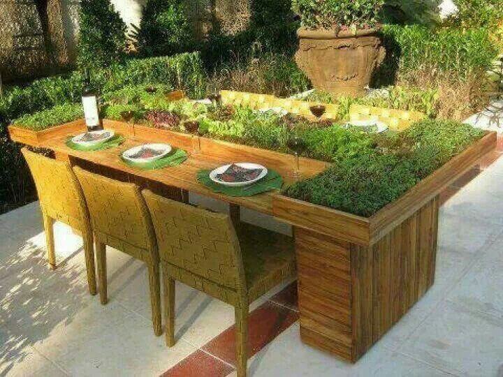 Planter table with vegetation growing in the tabletop.