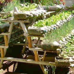 Repurposed bottles as planters on a terraced cultivation table.