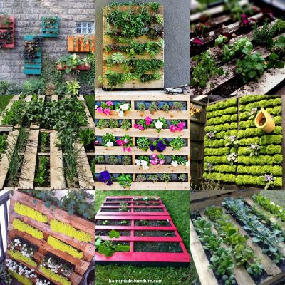 Living walls made from repurposed pallets.