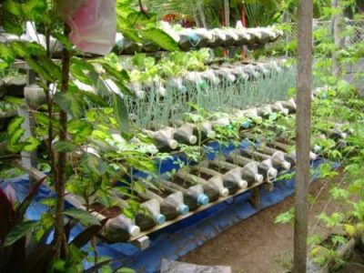 Cultivation system from plastic bottles with drippers.