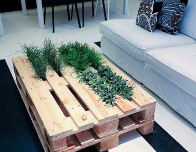 Planter table made of pallets, low by the ground coffeee table in lounge style.
