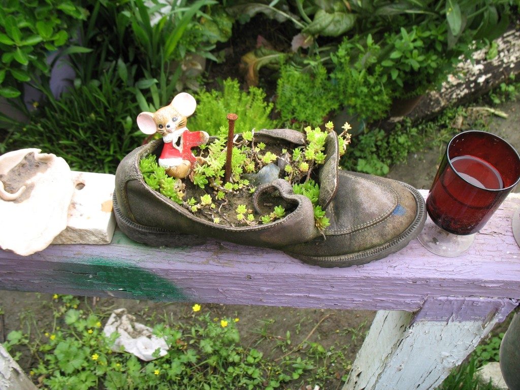 Mini garden made in an old sneaker.