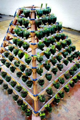 Square foot planter in pyramid shape.