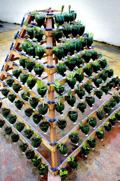 Plant cultivation systems, grow tables and hydroponics.