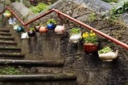Planters made from old teapots, repurposed as plant pots.