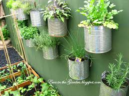 Food cans repurposed as planter pots hanging on the wall.